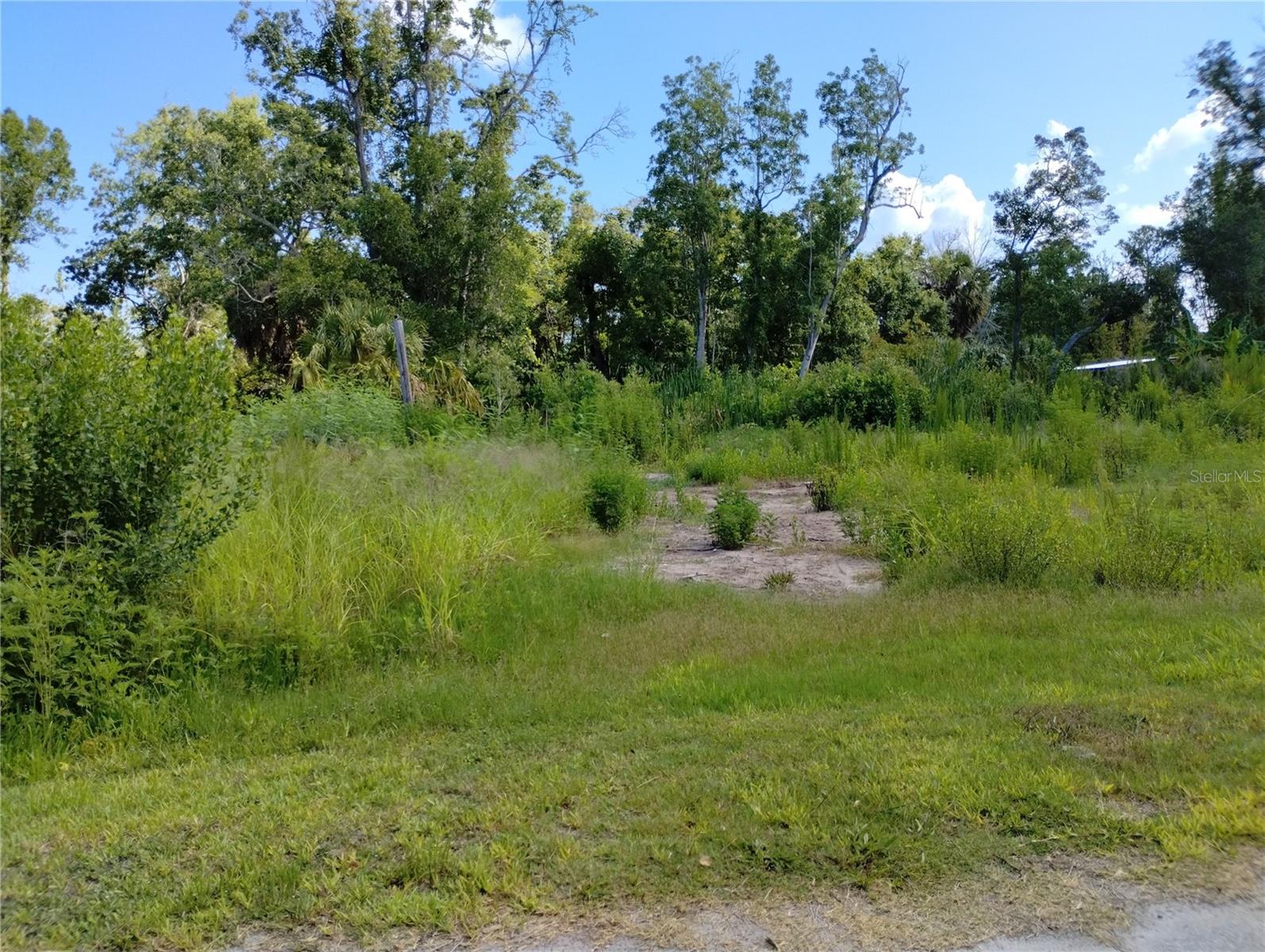 7947 Palatine Dr Property Photo 1