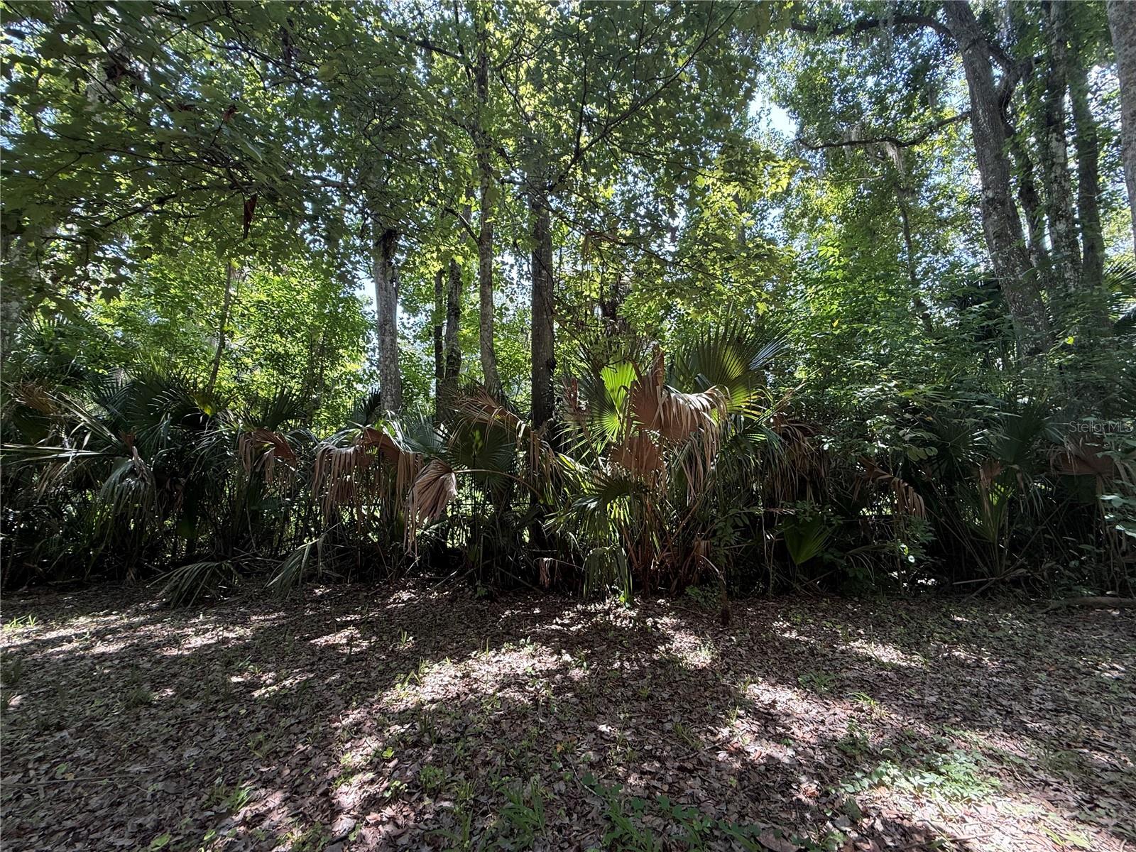 23946 Indigo Rd Property Photo 16