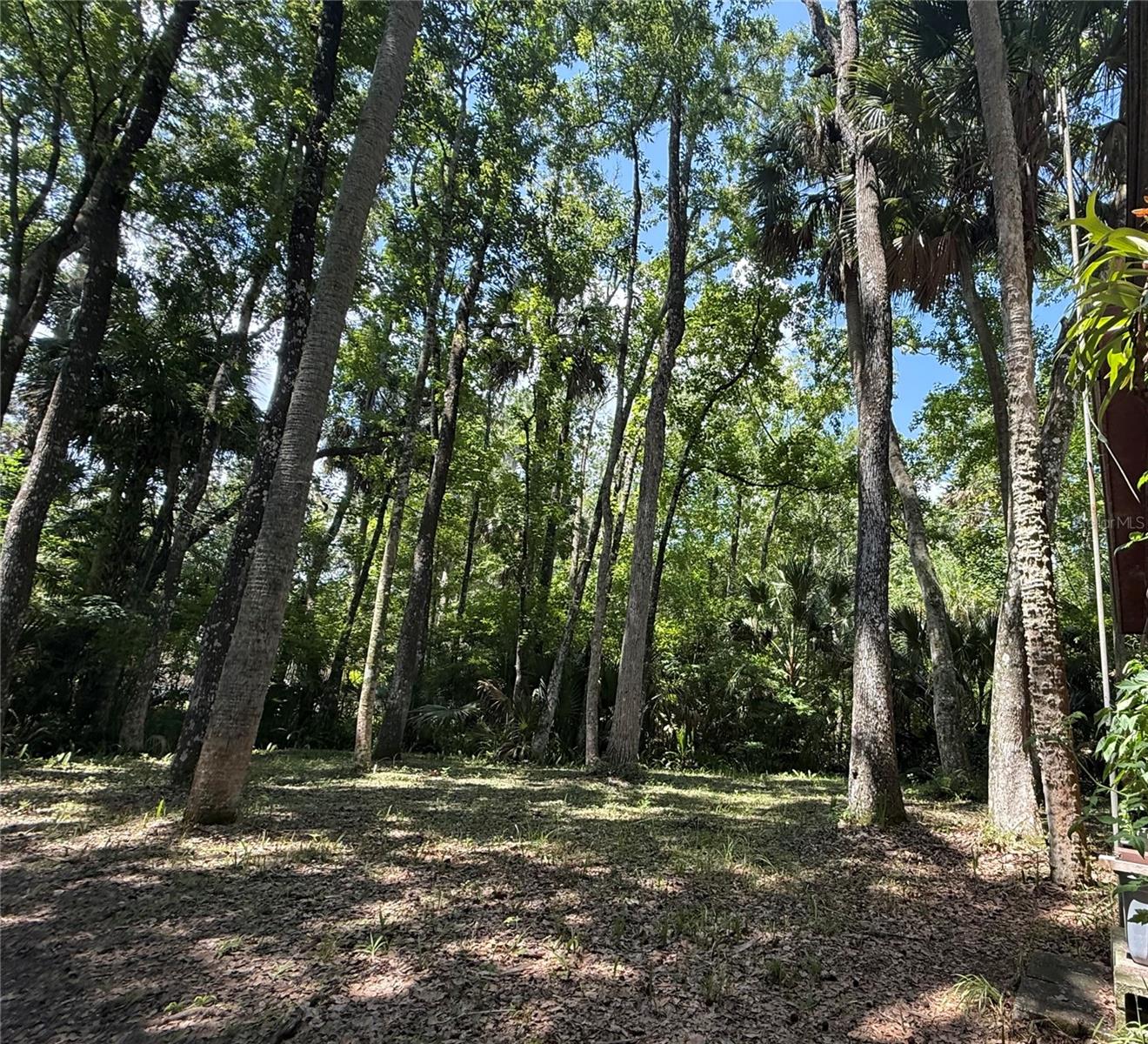 23946 Indigo Rd Property Photo 17