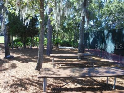 8802 Seeley Ln Property Photo 29