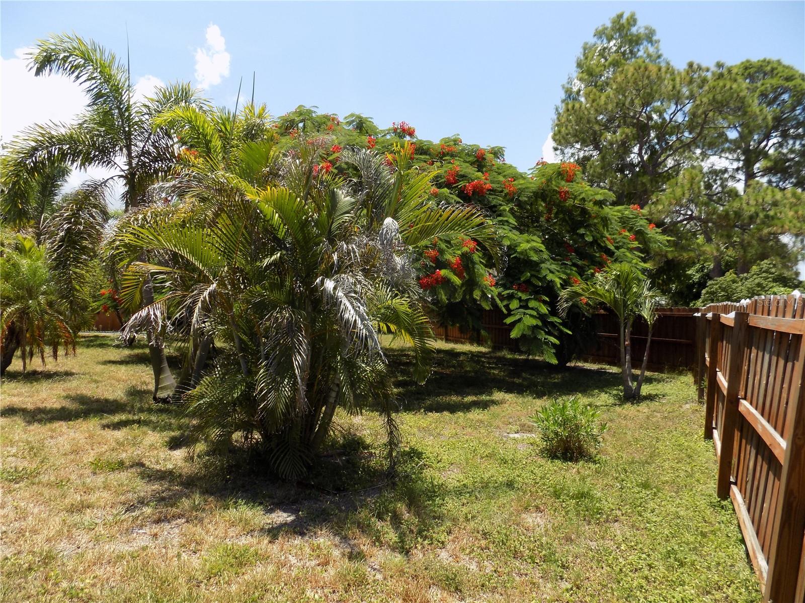 3849 Edgemont Dr Property Photo 37
