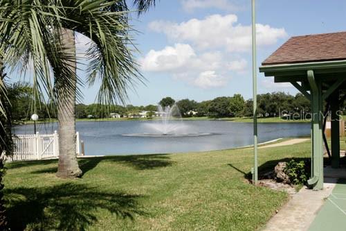 11337 Versailles Ln Property Photo 49