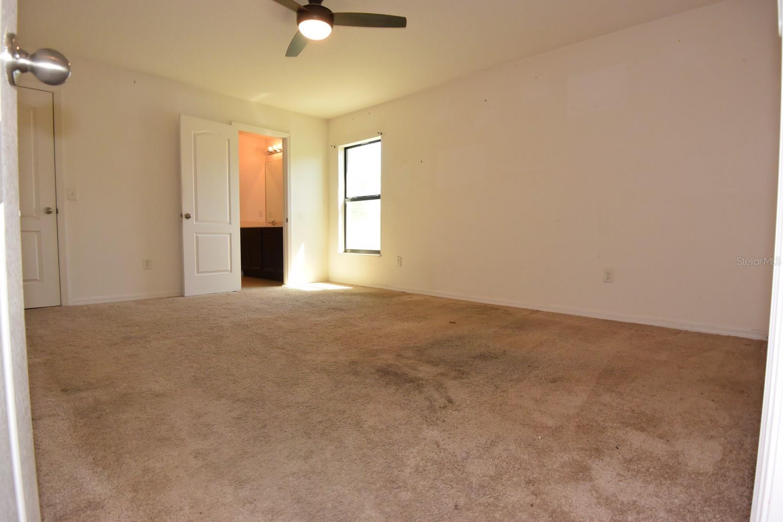 6936 Crested Orchid Dr Property Photo 20