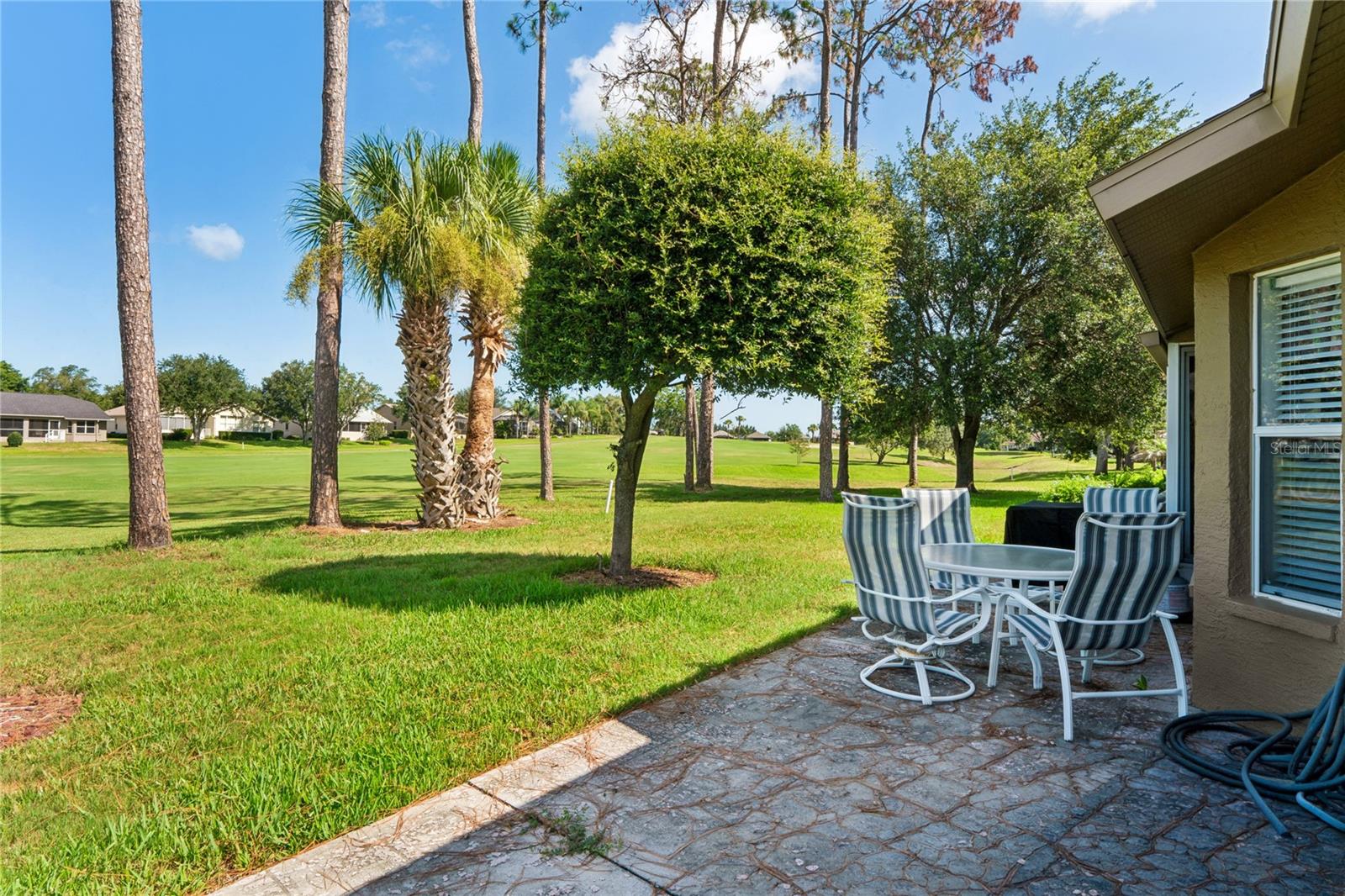 18607 Bent Pine Dr Property Photo 45