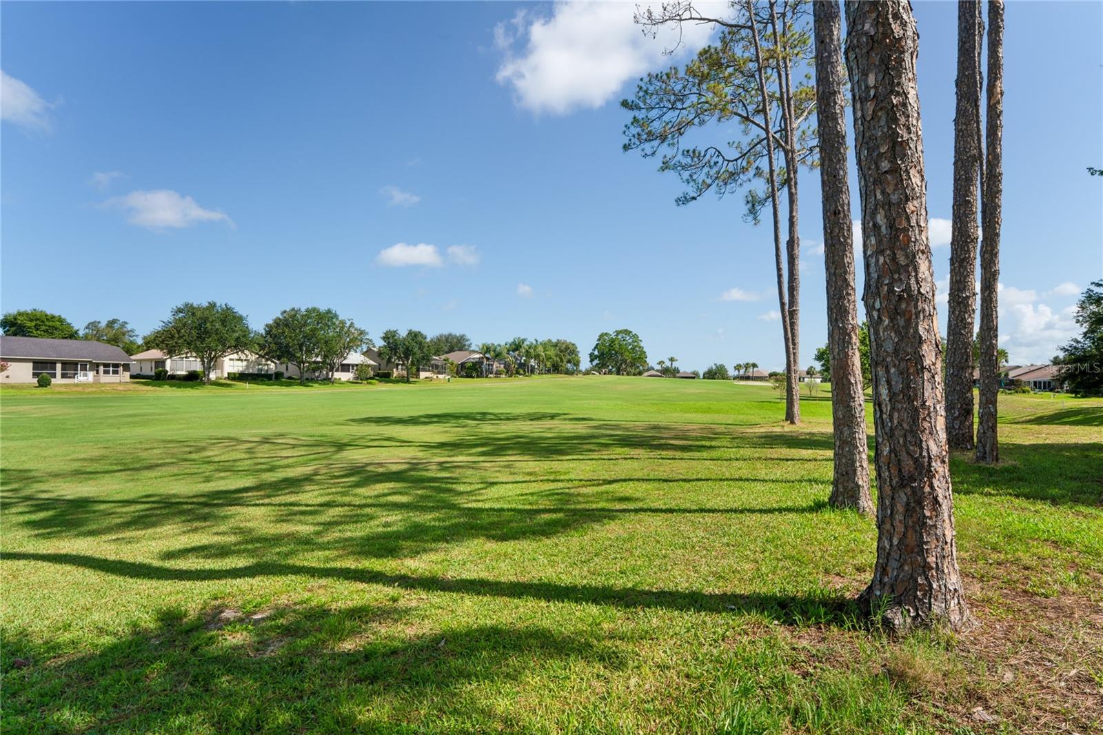 18607 Bent Pine Dr Property Photo 49