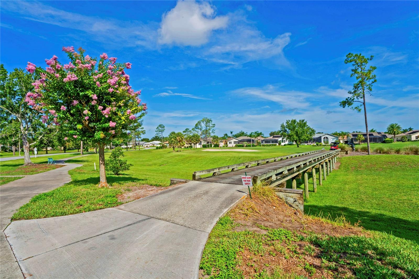 18607 Bent Pine Dr Property Photo 83