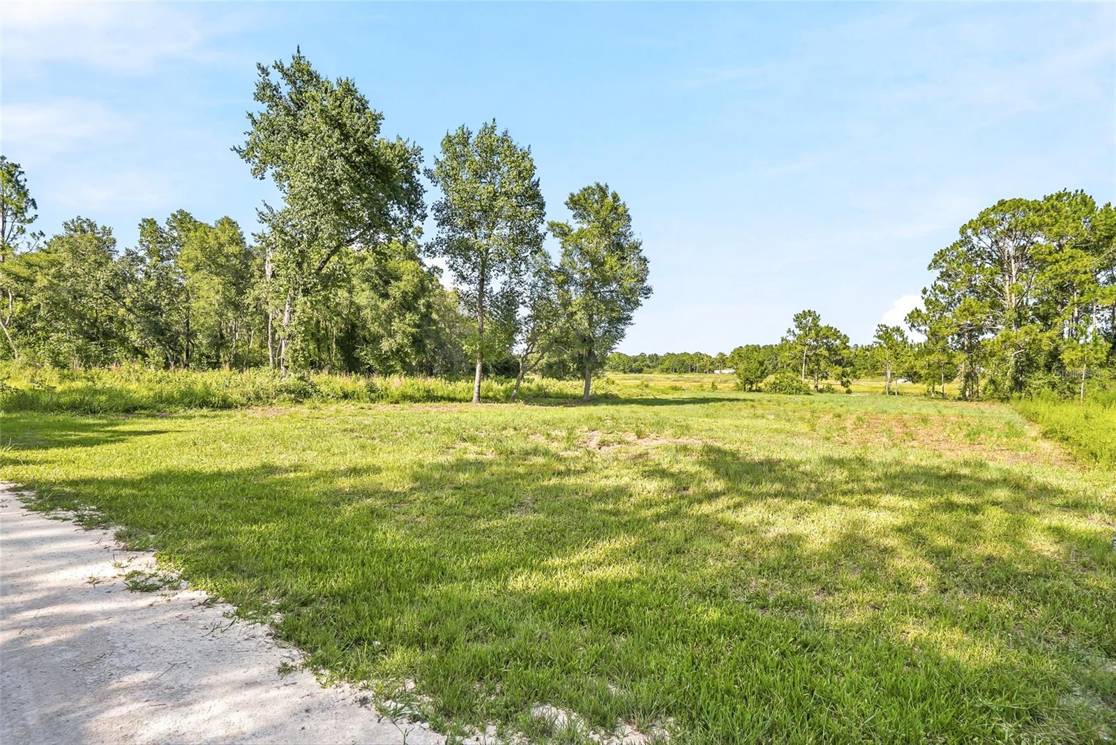 100 Berryhill Dr Property Photo 4