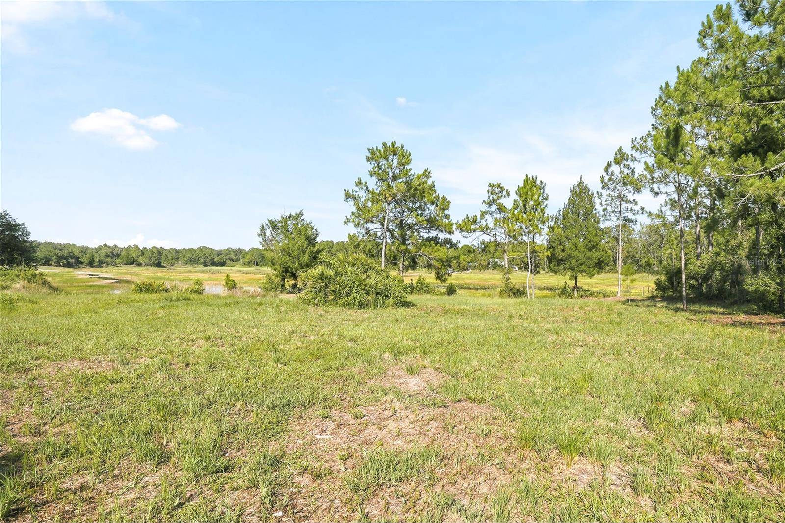 100 Berryhill Dr Property Photo 5