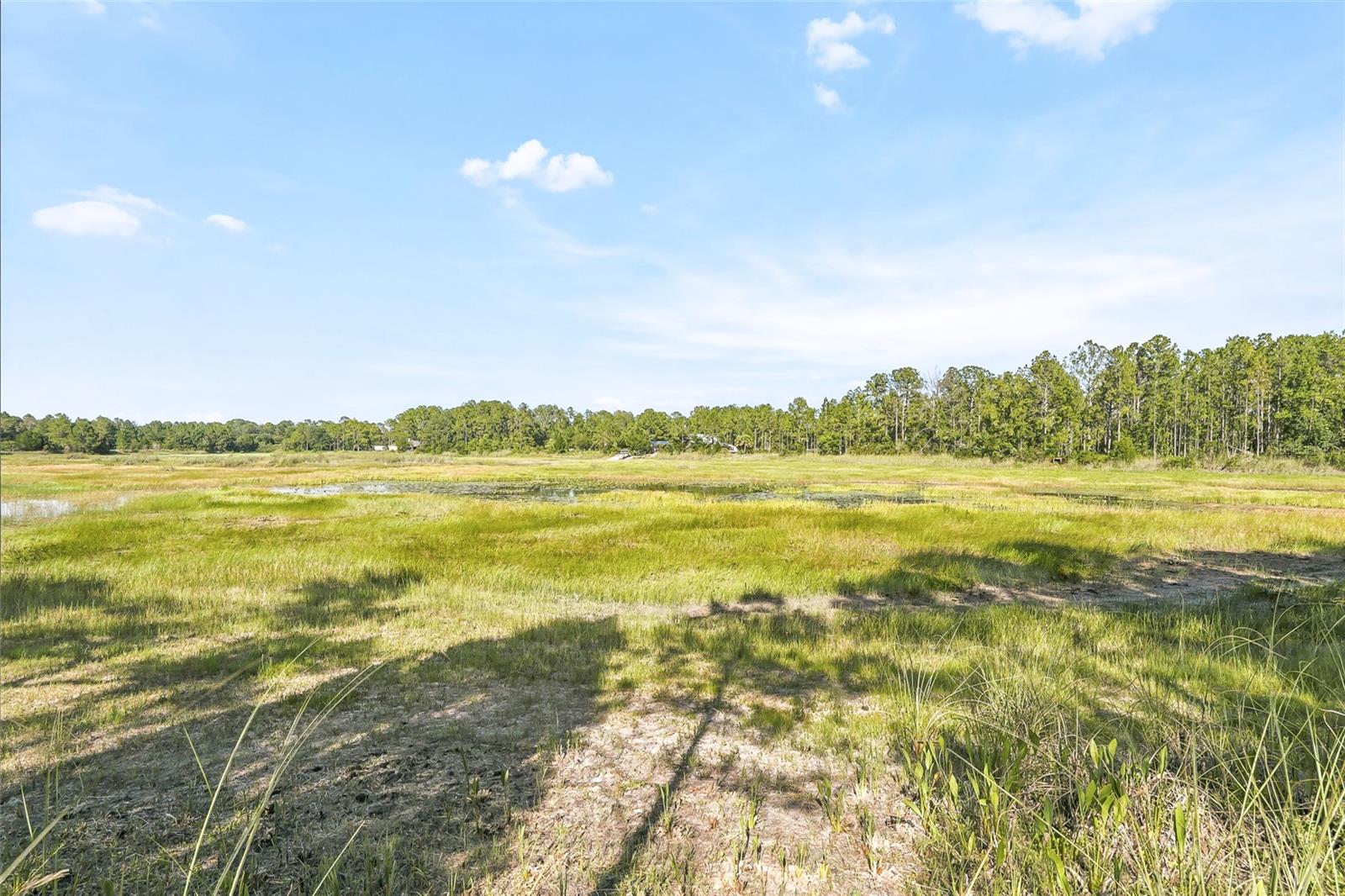 100 Berryhill Dr Property Photo 8
