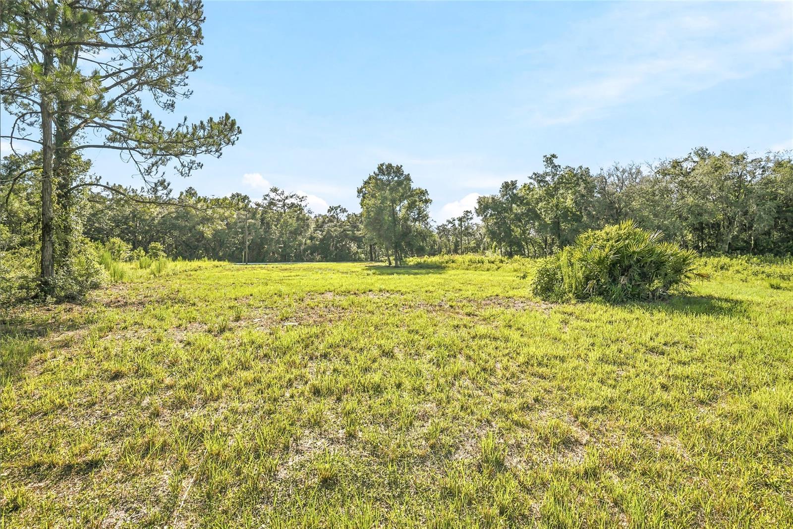 100 Berryhill Dr Property Photo 10