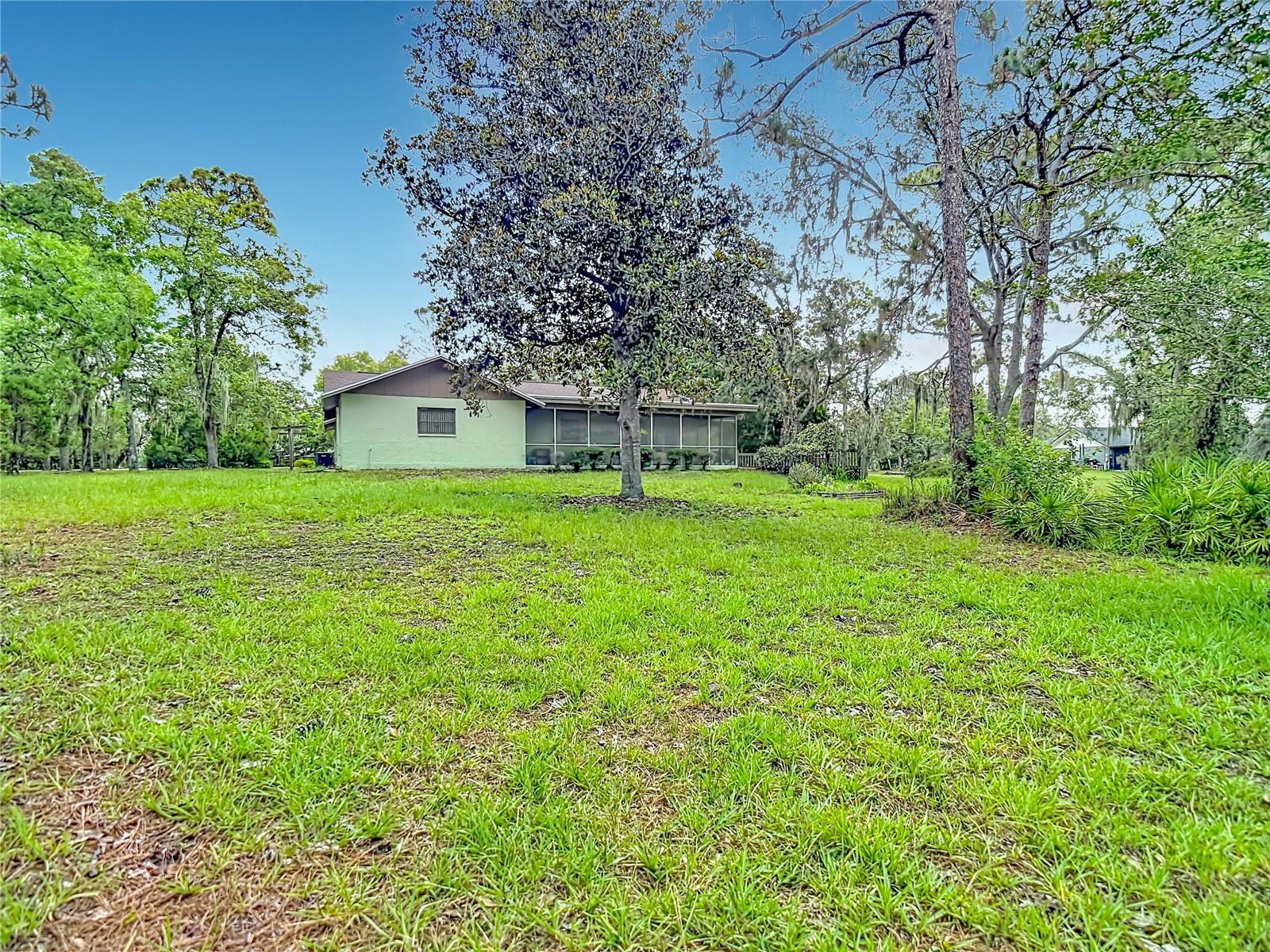 10050 Deer Ln Property Photo 29