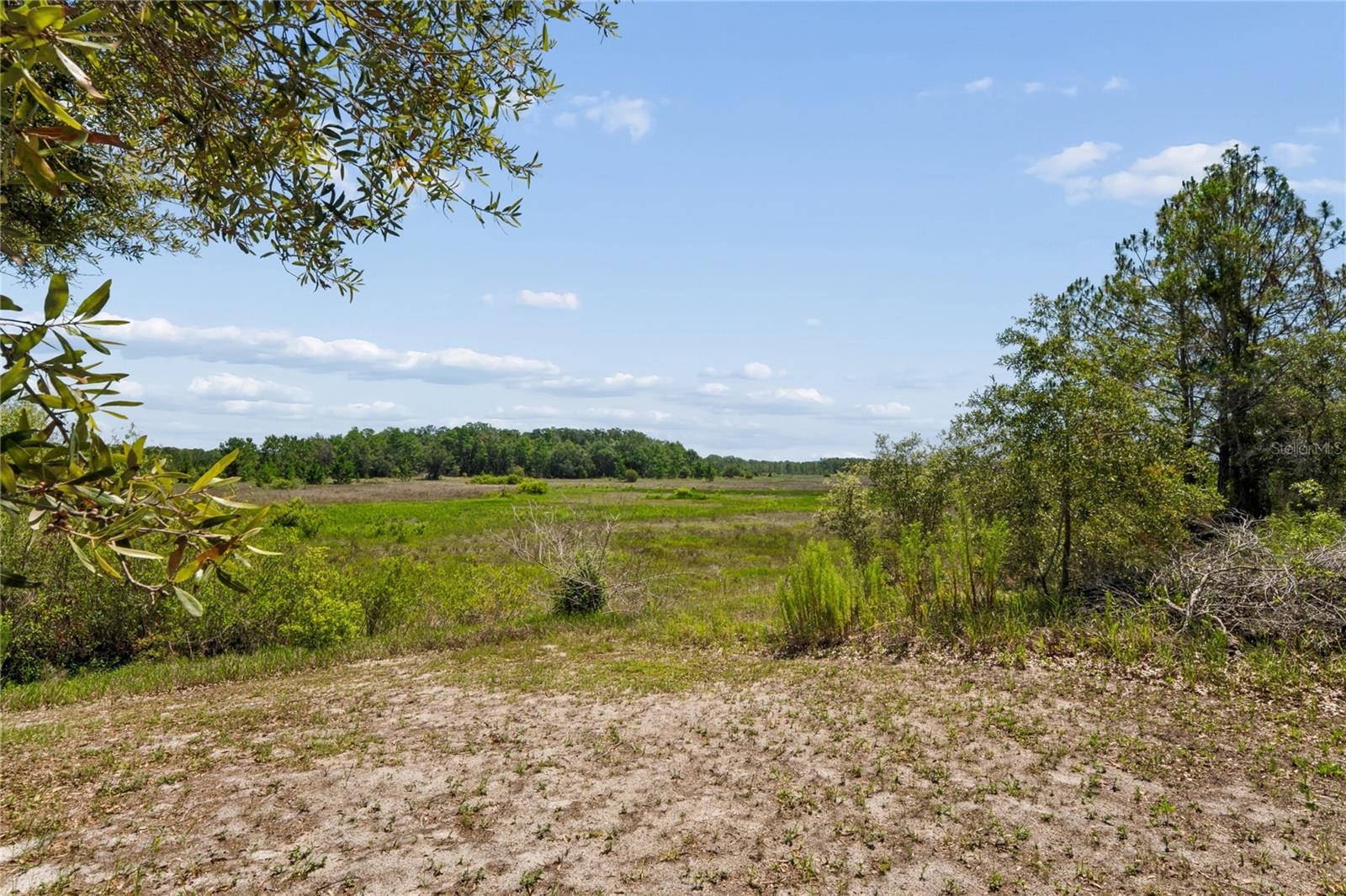 6381 Pinehurst Dr Property Photo 42