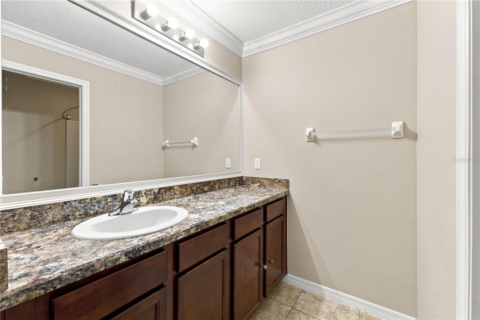13366 Barkingside Pl Property Photo 26