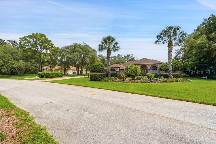 10470 Ramble Ridge Ct Property Photo 7