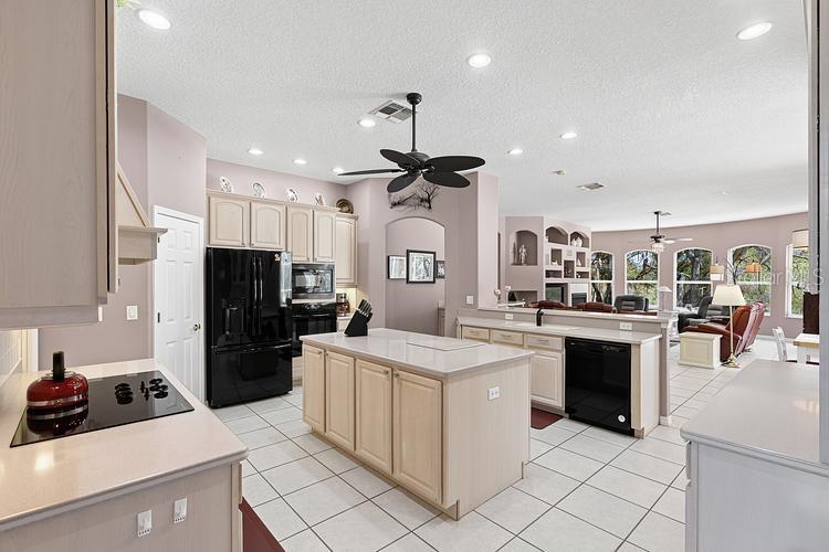 10470 Ramble Ridge Ct Property Photo 22