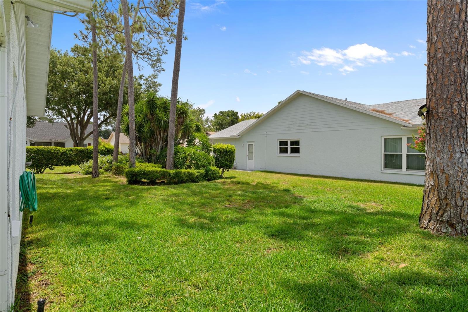 7196 Crown Oaks Dr Property Photo 38