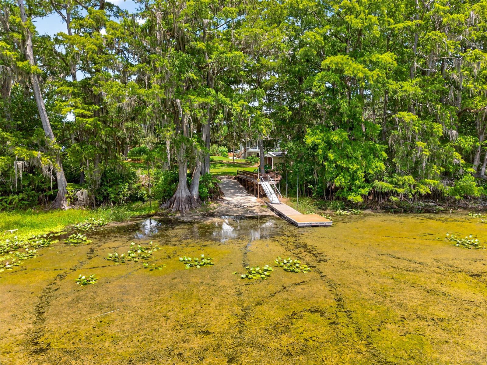 28211 Magnon Dr Property Photo 11