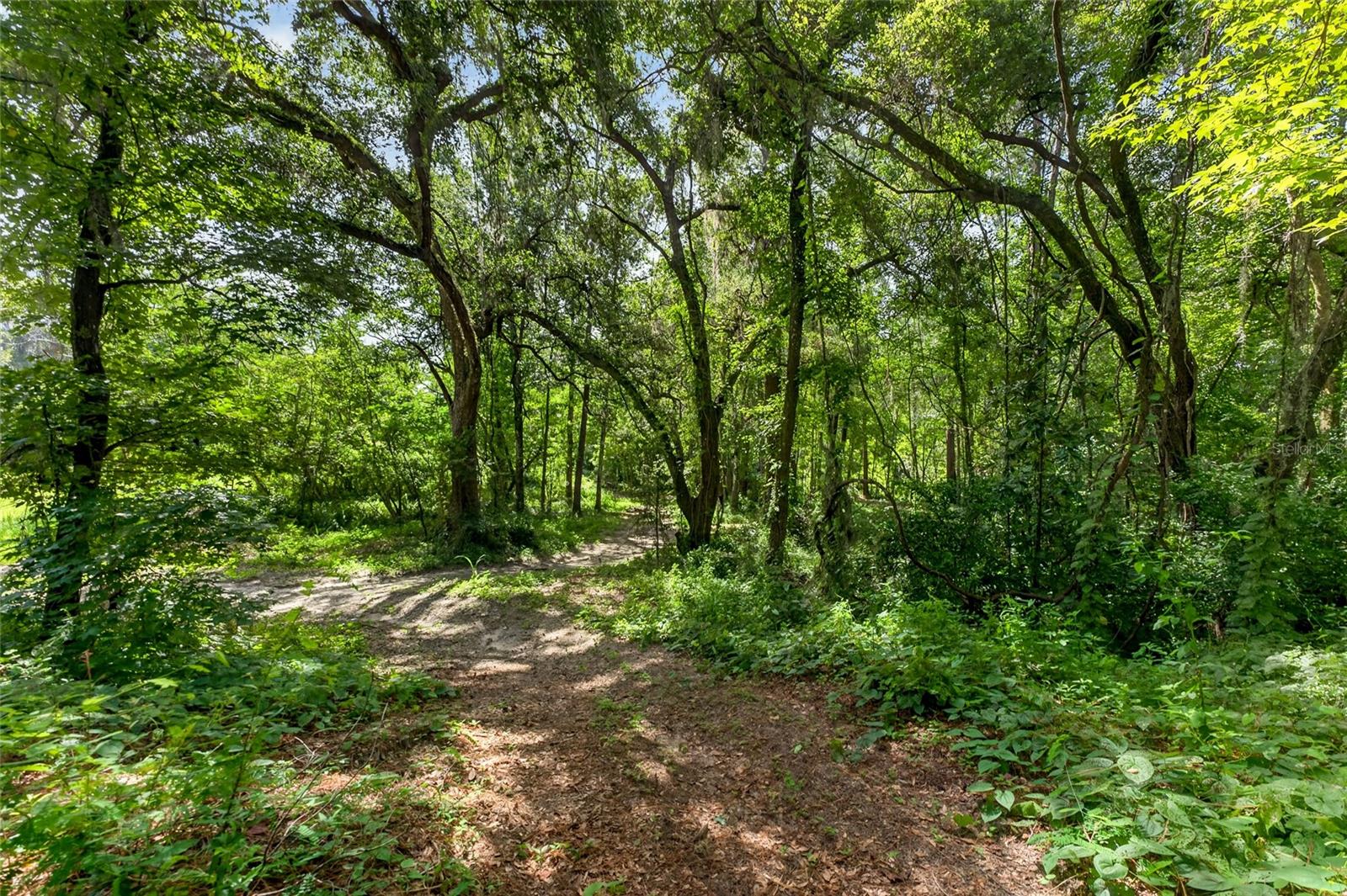 28211 Magnon Dr Property Photo 86