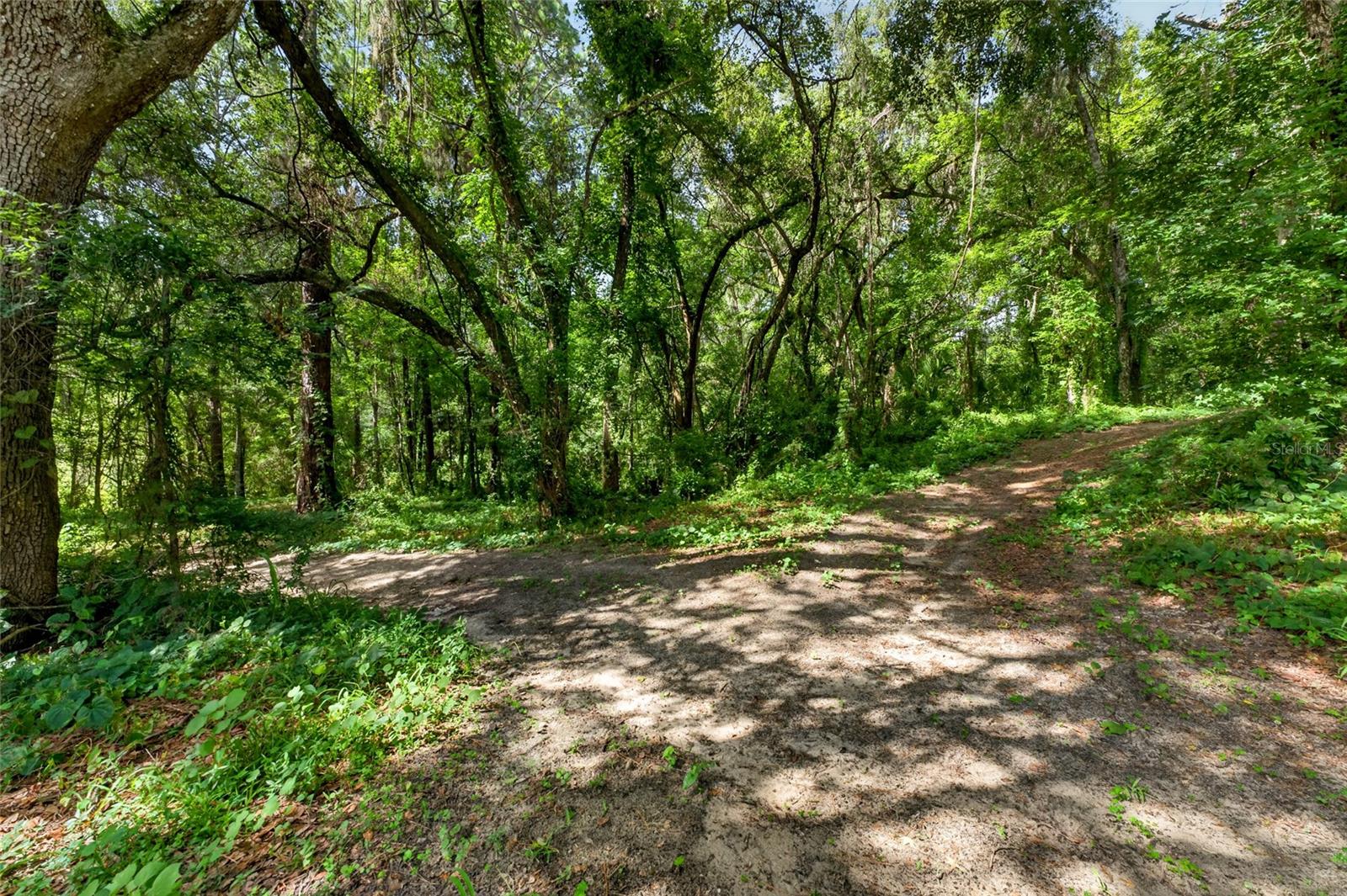28211 Magnon Dr Property Photo 87