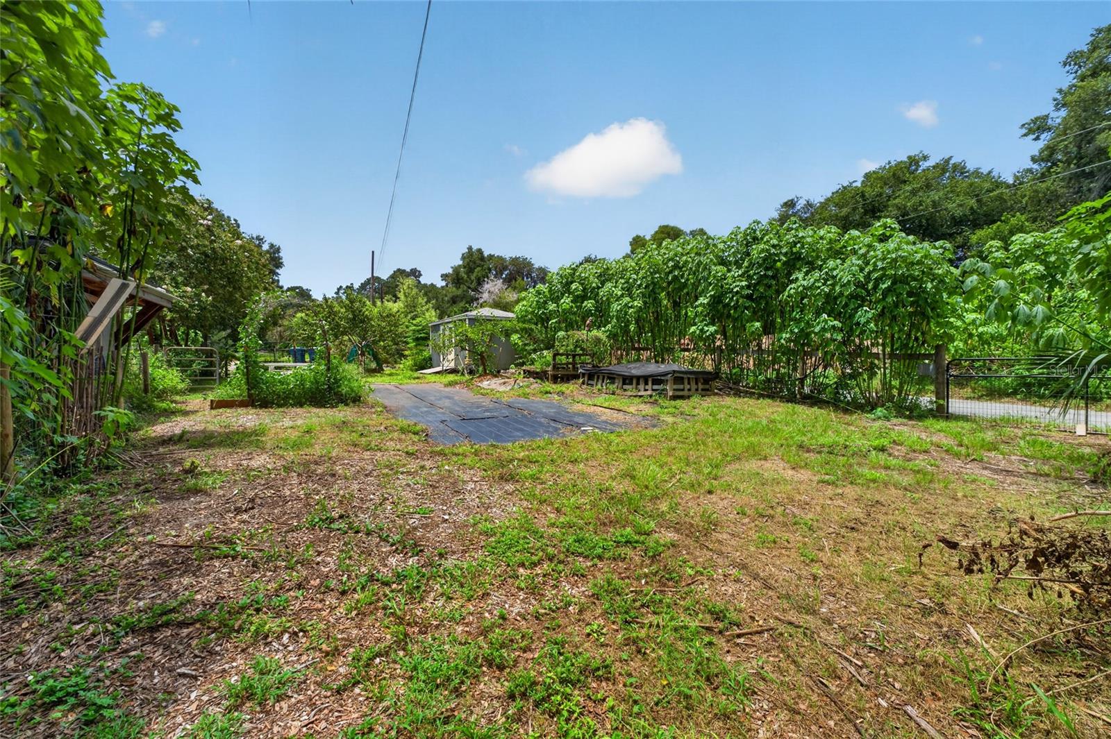 28211 Magnon Dr Property Photo 89