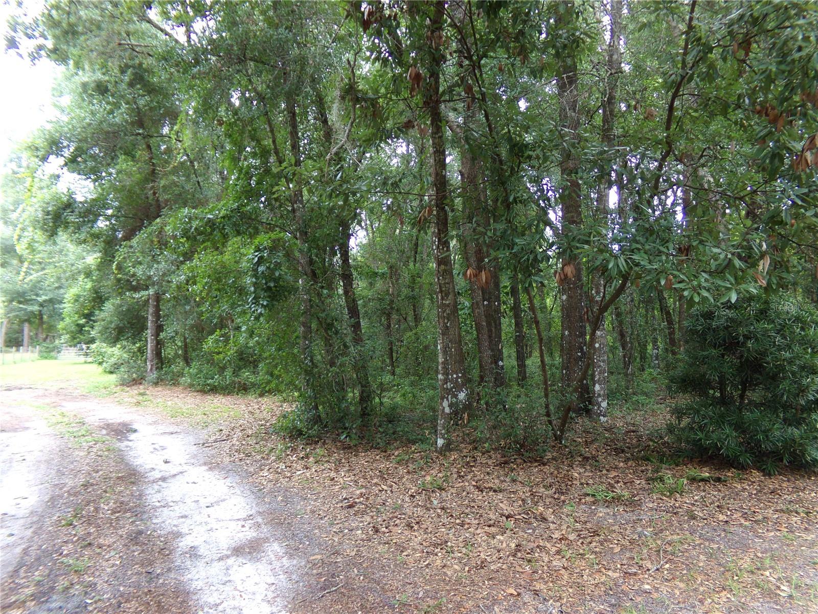 12199 Sw 44th Dr Property Photo 43