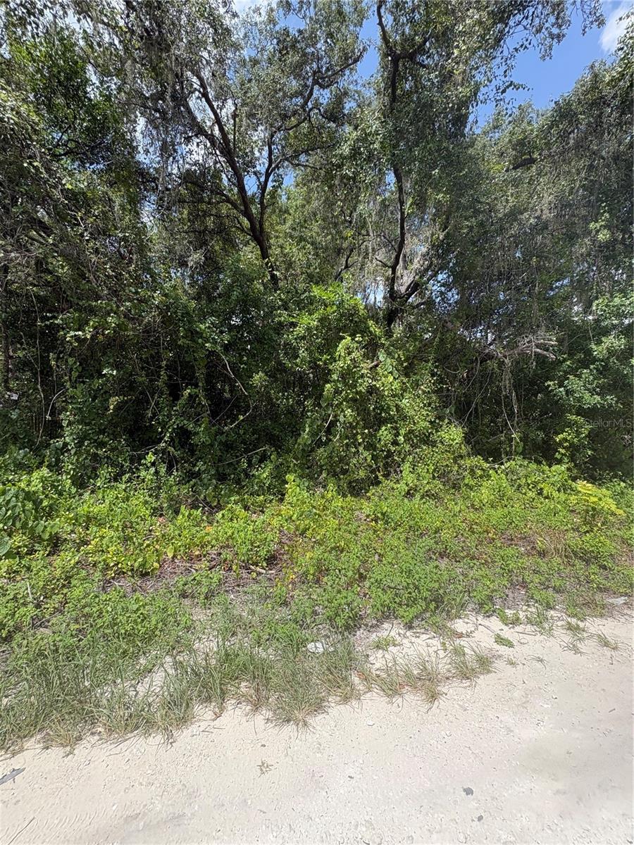 SPARE DR Property Photo 1