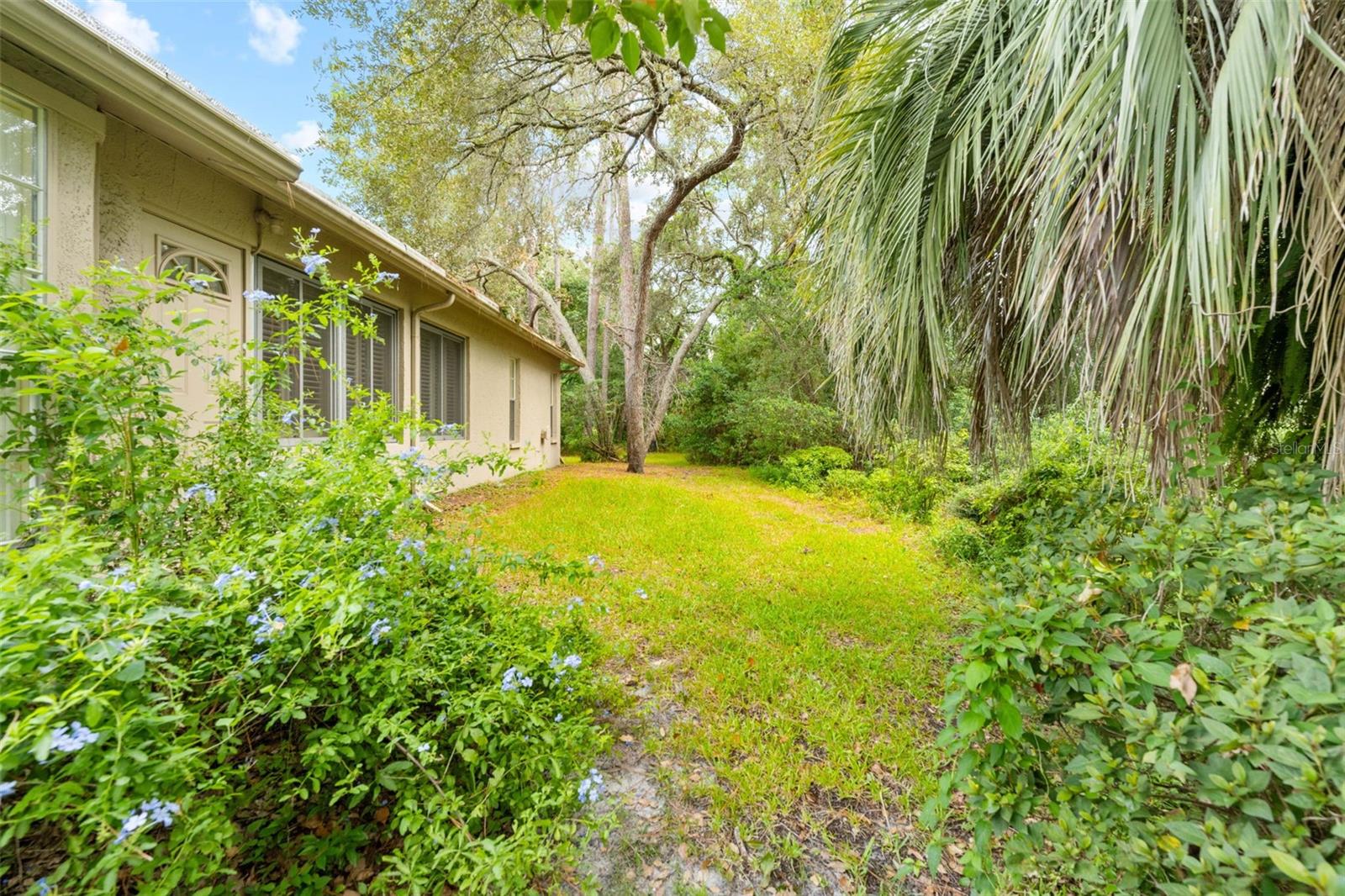 2629 Imperial Pine Dr Property Photo 39