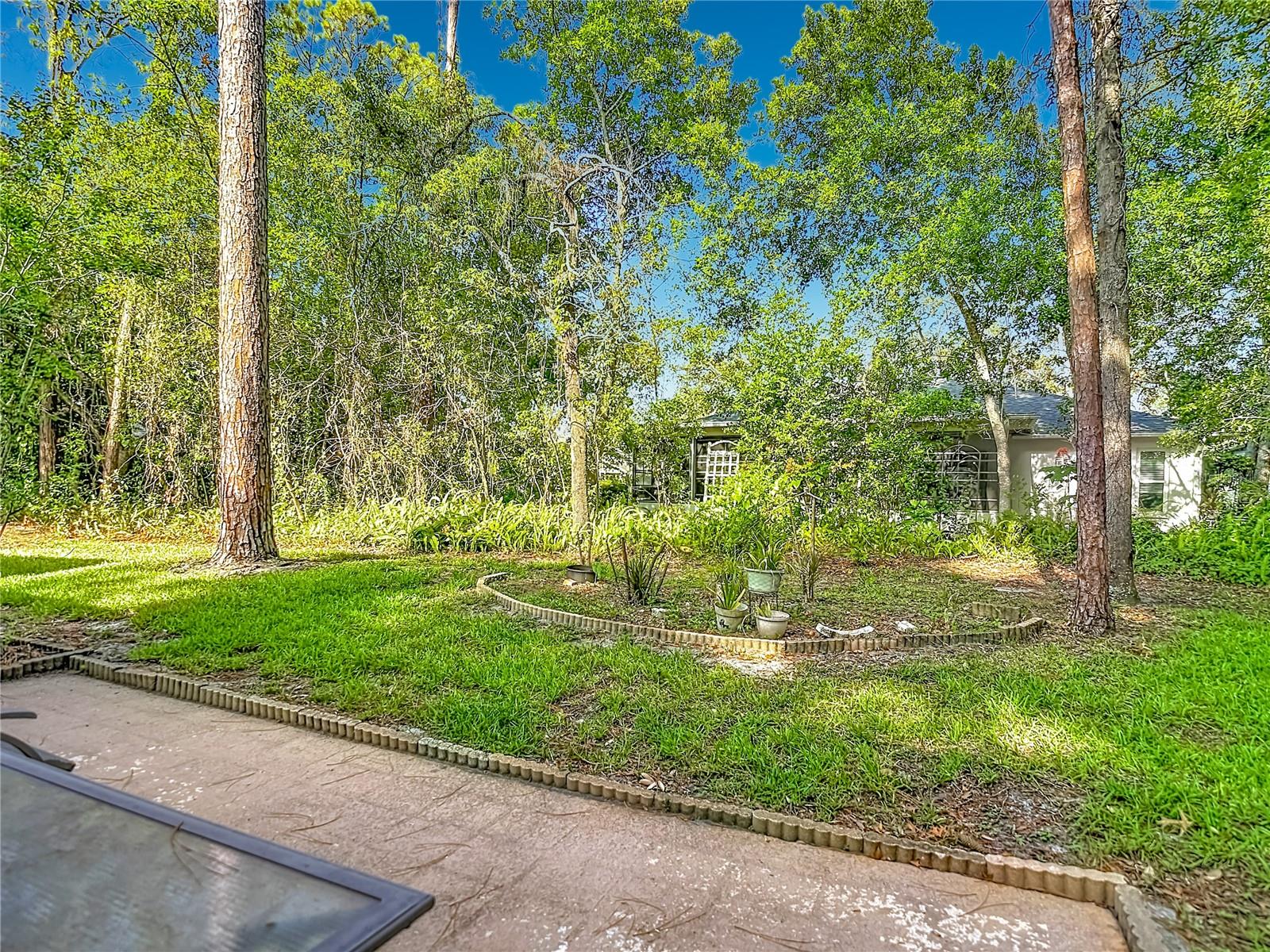 2077 Woodcutter Ct Property Photo 66