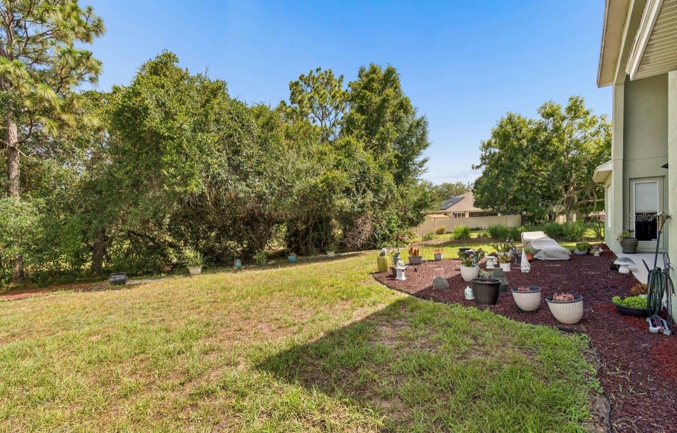13800 Crest Lake Dr Property Photo 60