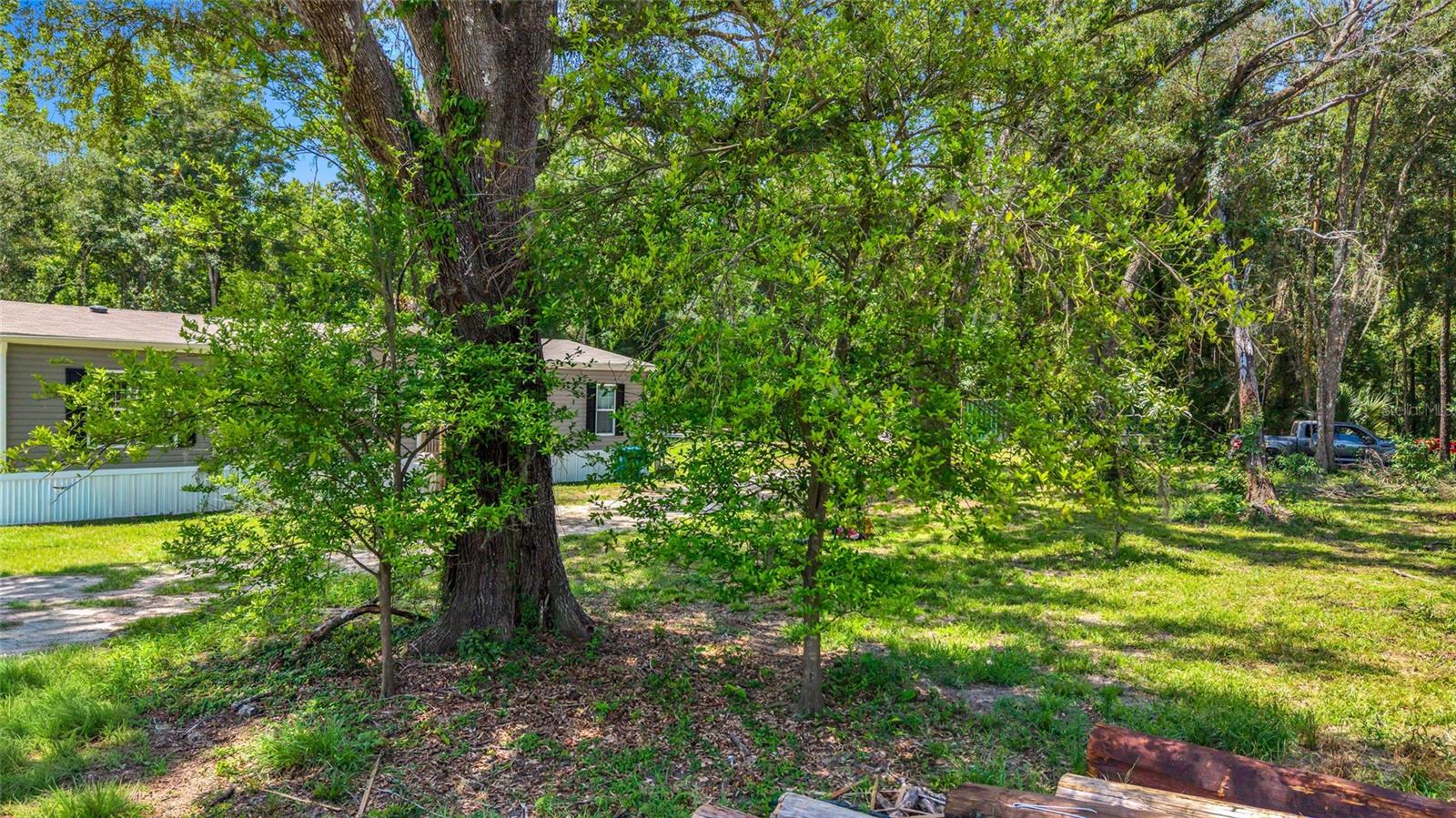 24050 Cortez Blvd Property Photo 26