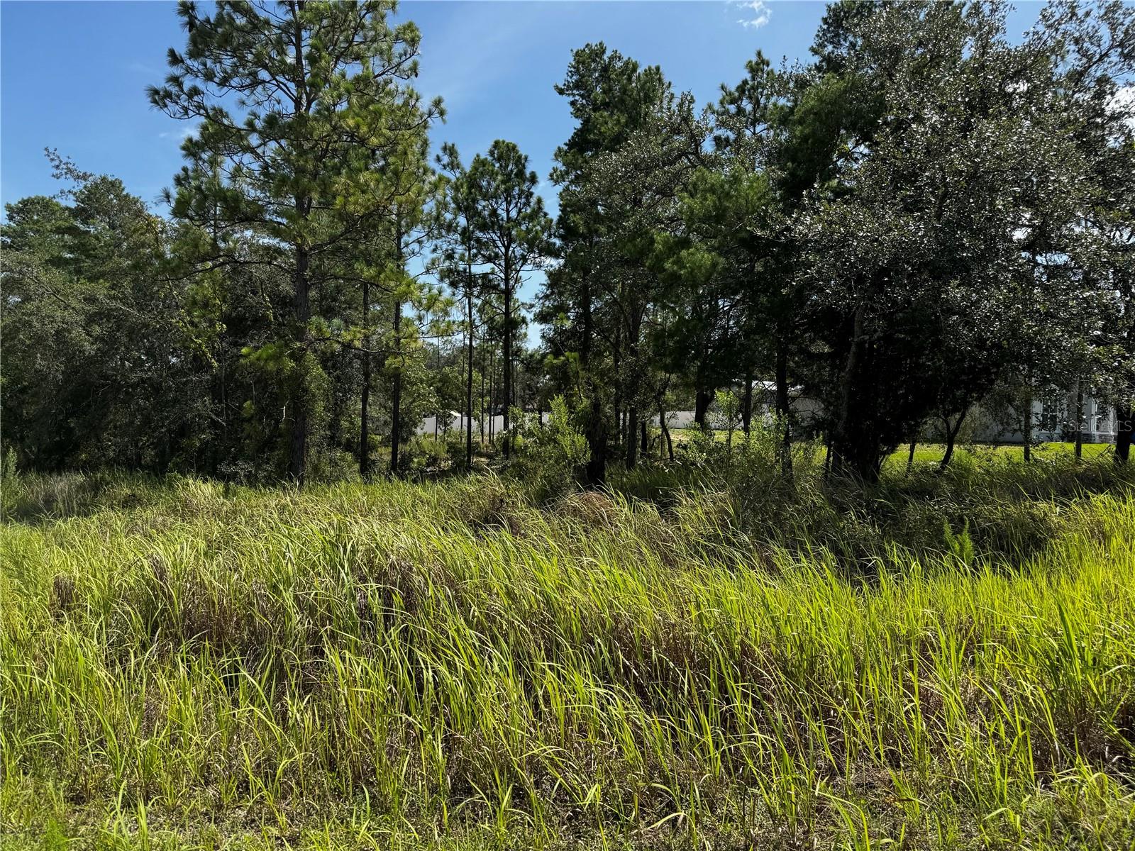 Lot 14 BARNEVELDE ROAD Property Photo 1
