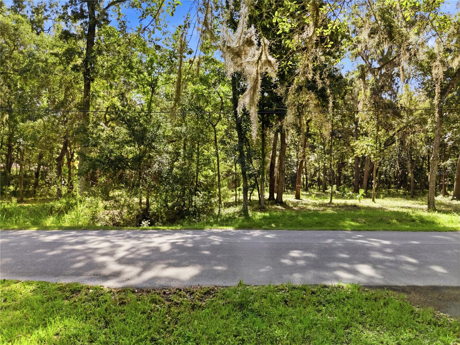 11330 Royal Dr Property Photo 3