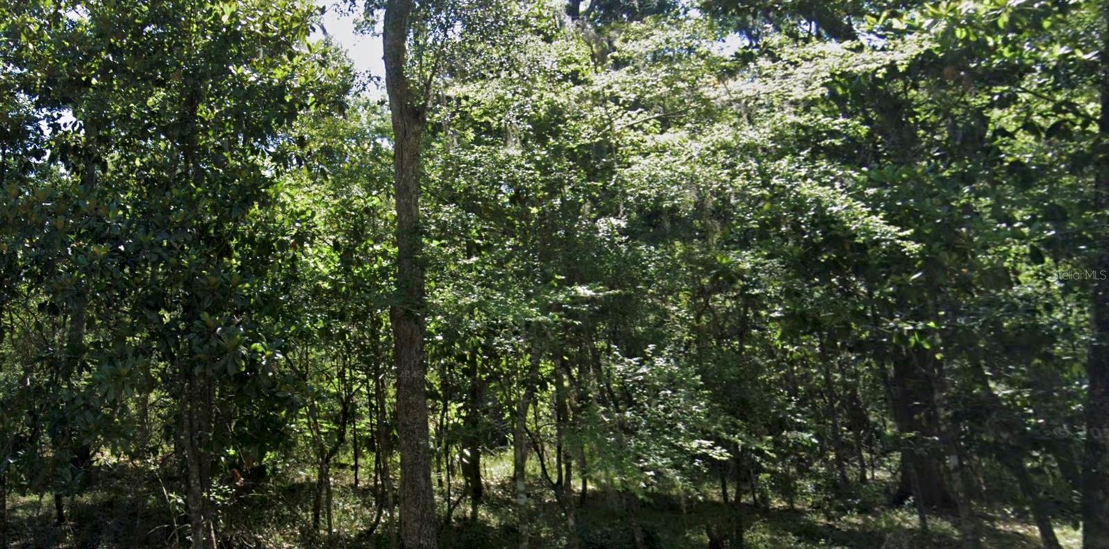 11330 Royal Dr Property Photo 10