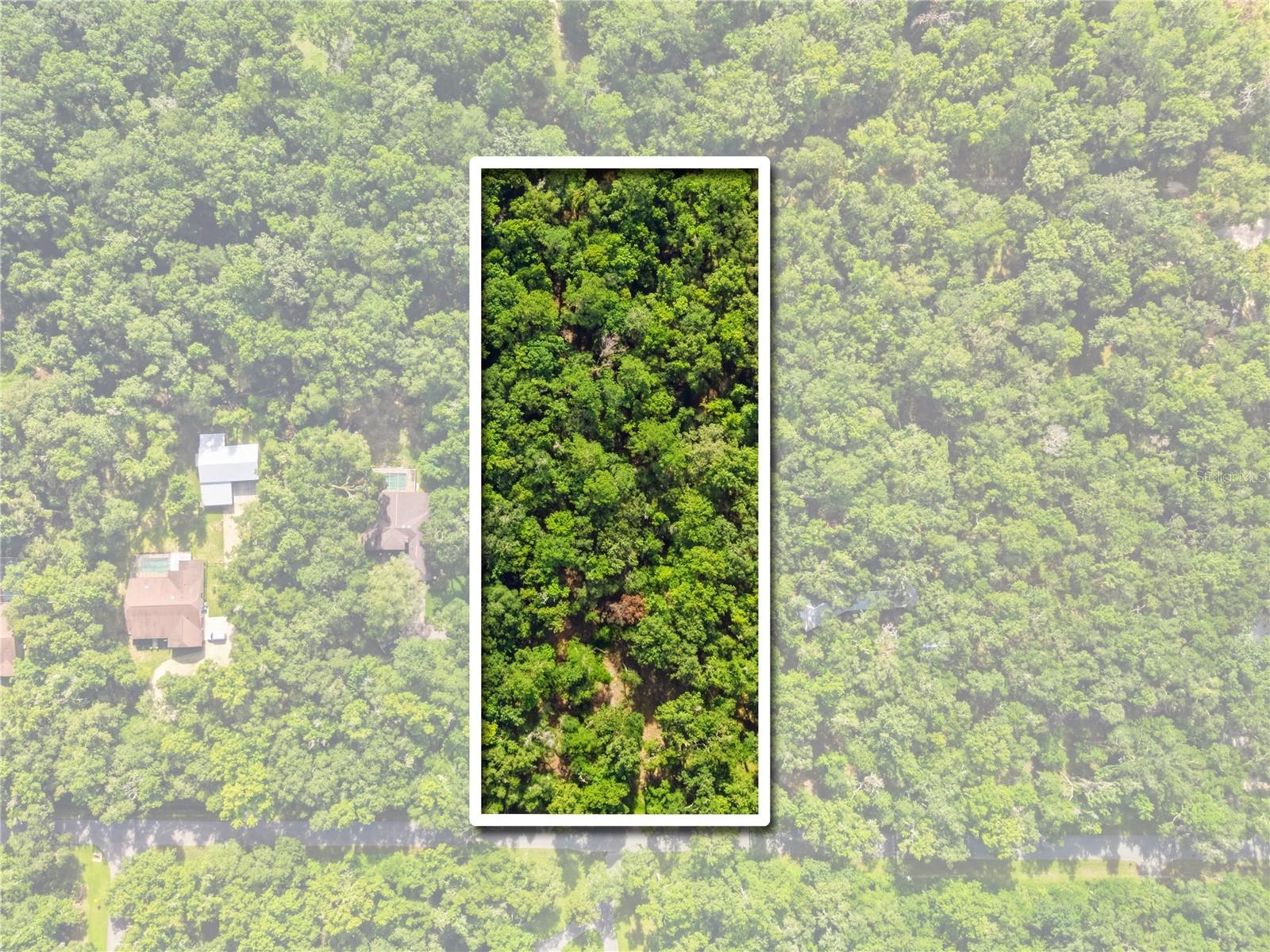 11330 Royal Dr Property Photo 14
