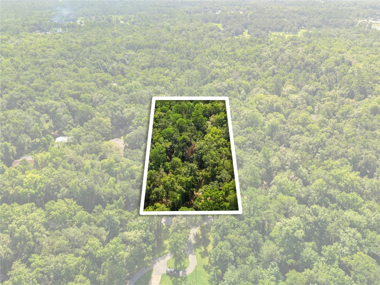 11330 Royal Dr Property Photo 17