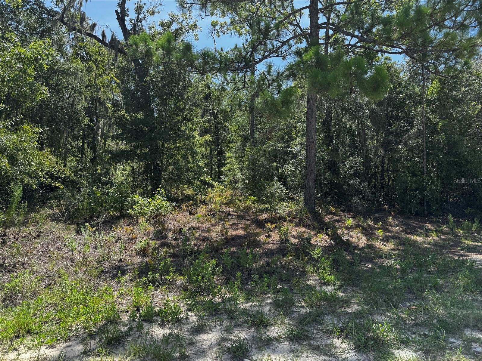 CRIDER RD #3 Property Photo 1