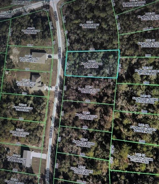Crider Rd #3 Property Photo 2