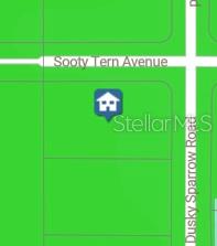 Sooty Tern Ave Property Photo 3