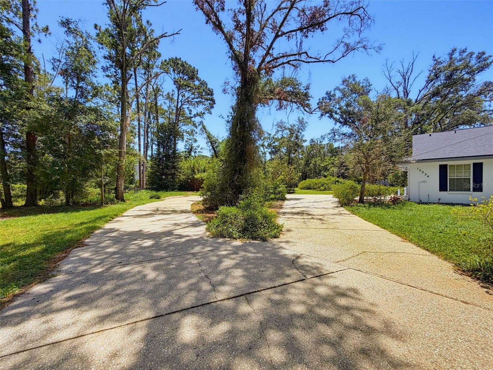 15234 Scanio Property Photo 7