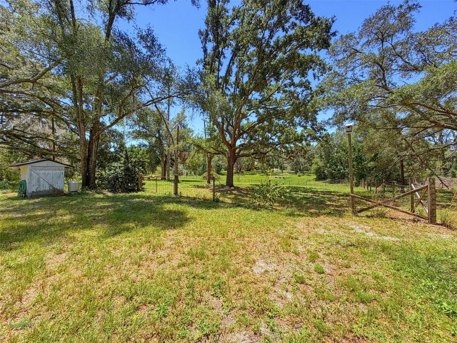 15234 Scanio Property Photo 77