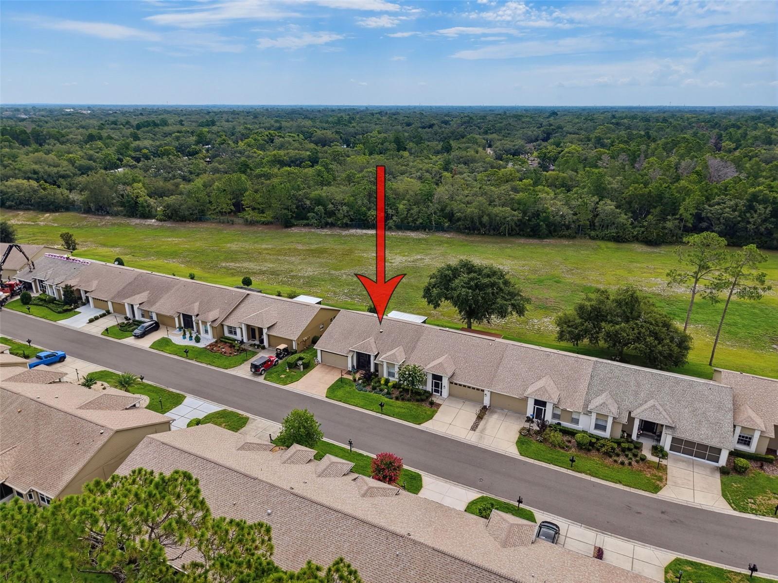 18412 Bent Pine Dr Property Photo 45