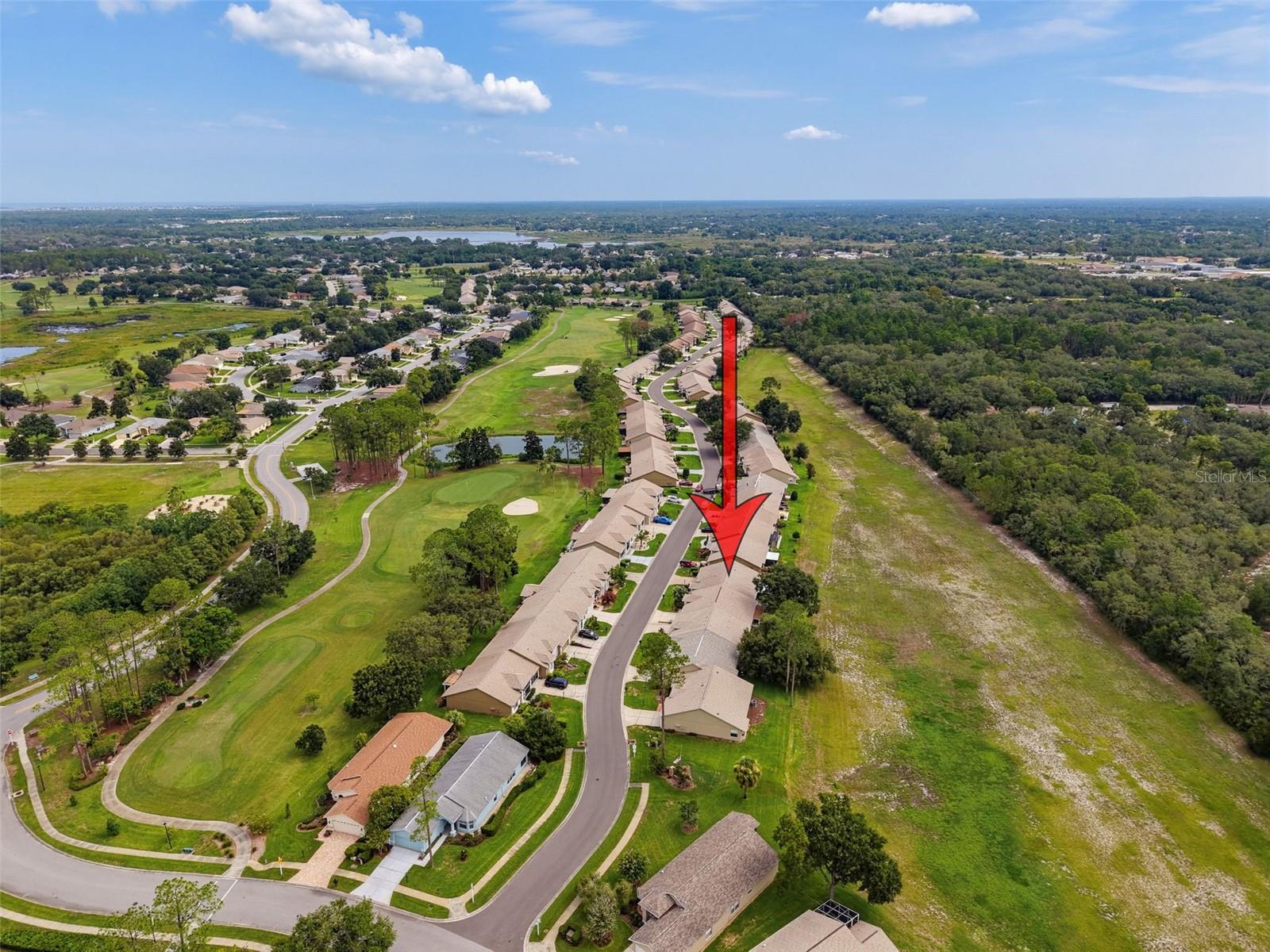 18412 Bent Pine Dr Property Photo 46