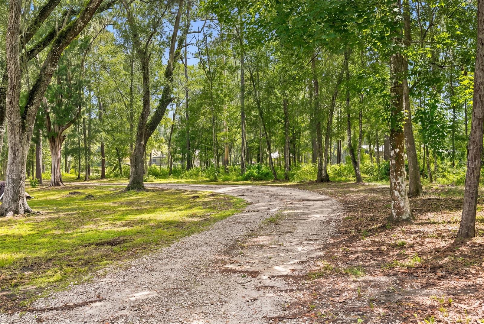 18308 Valor Path Property Photo 49