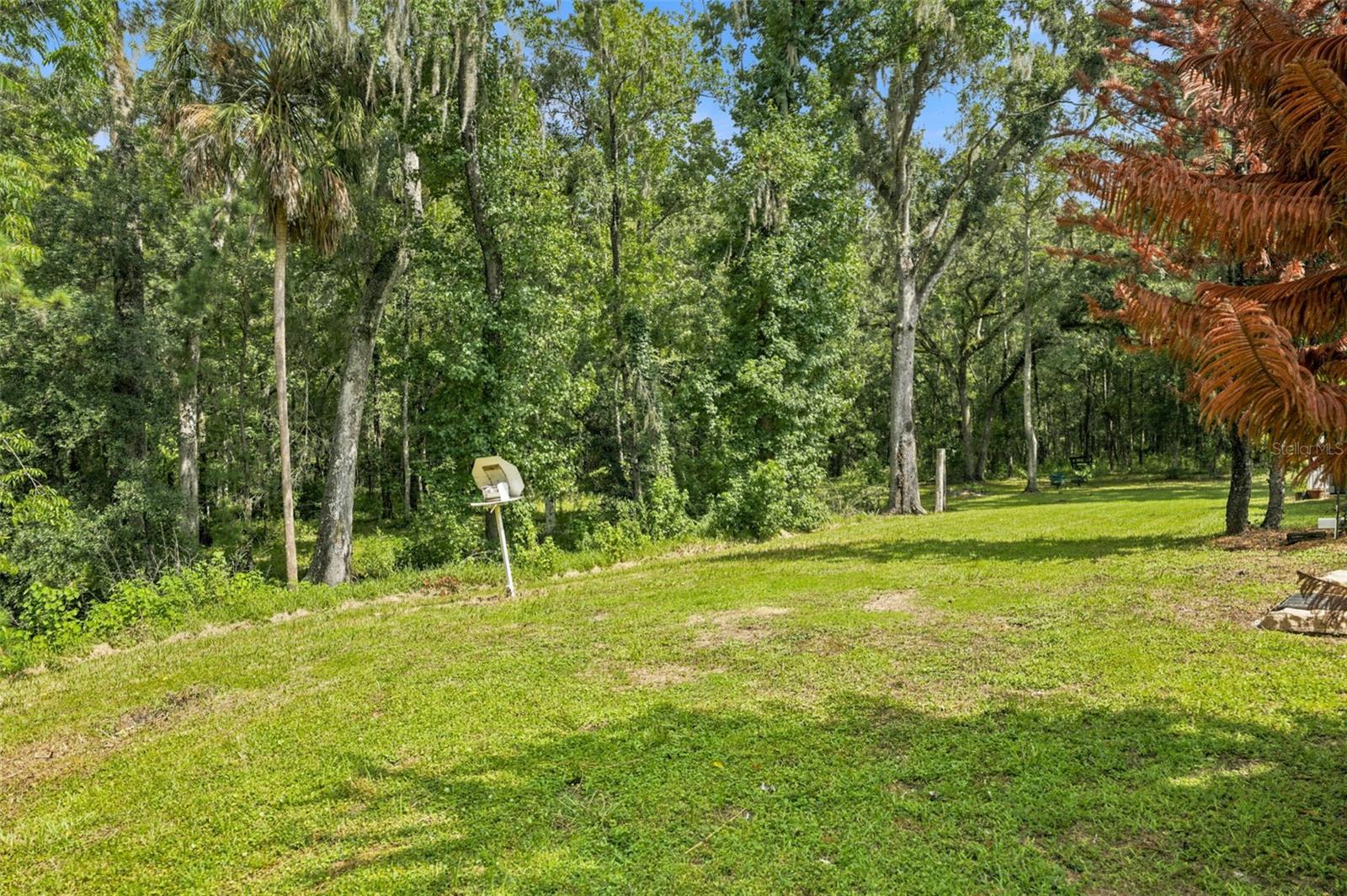 18308 Valor Path Property Photo 55
