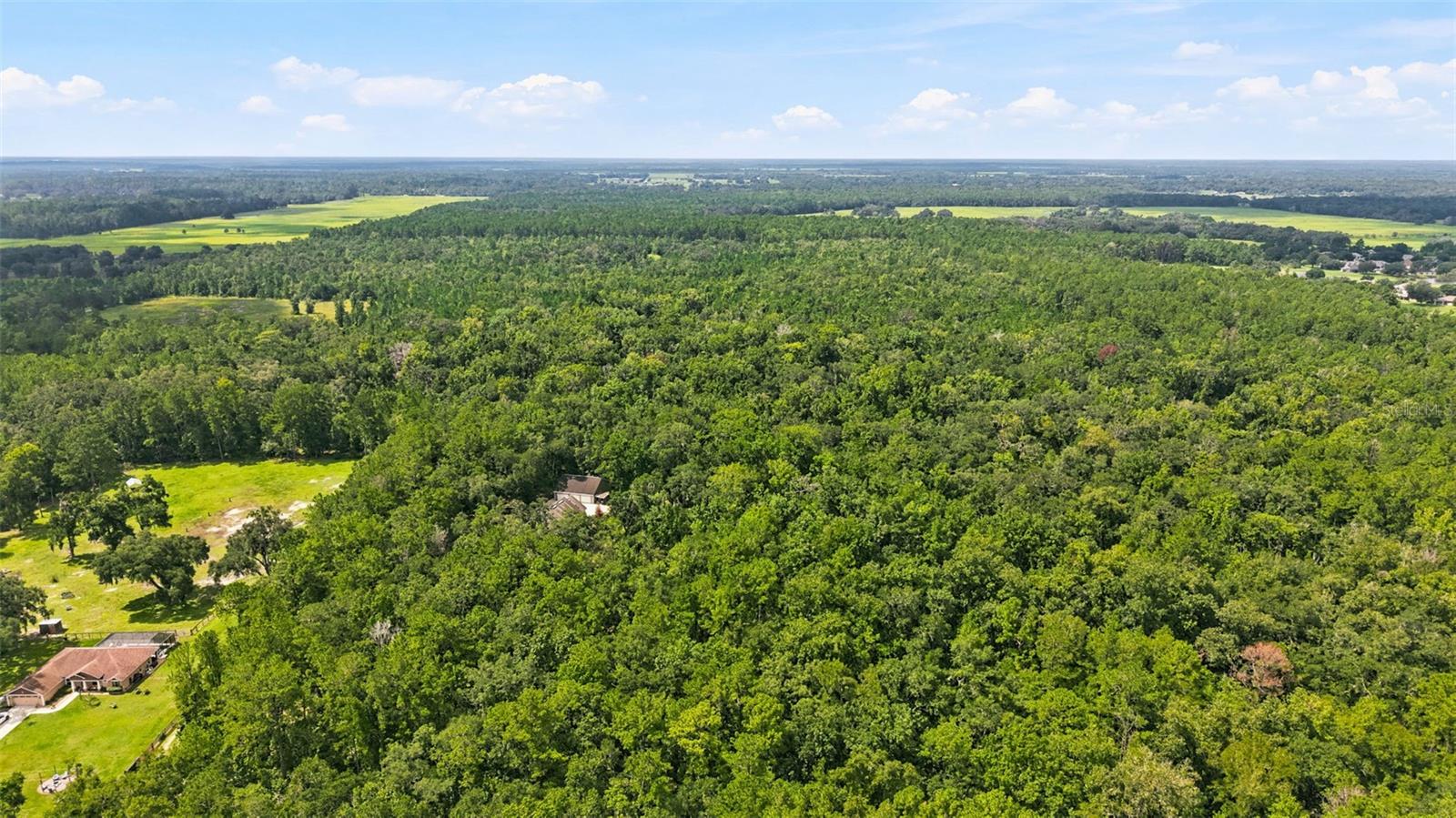 18308 Valor Path Property Photo 59