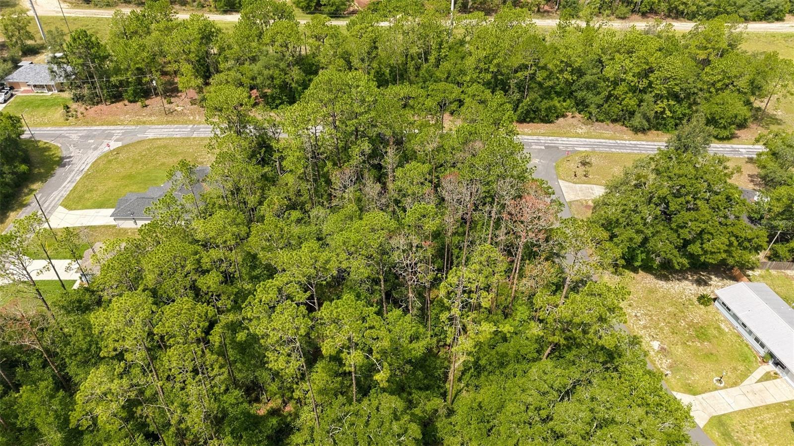 1320 W Sorrento Dr Property Photo 8