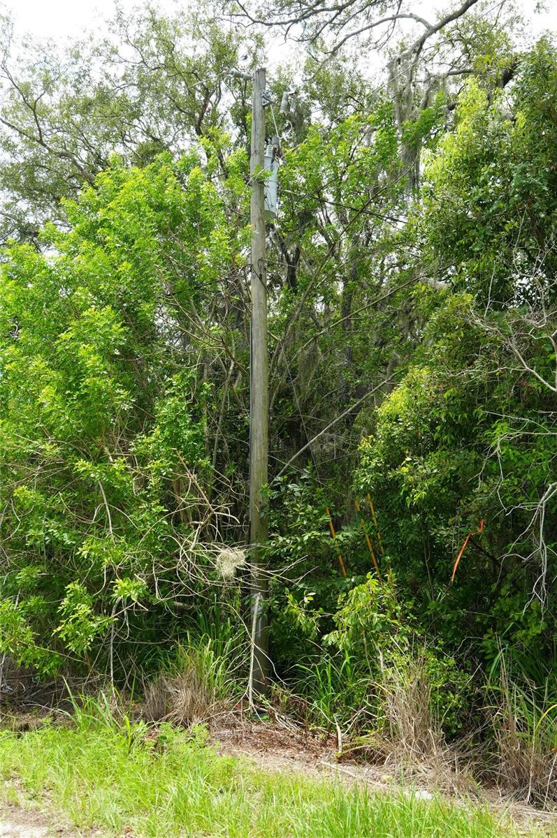 186 Avon Park Cutoff Rd Property Photo 12