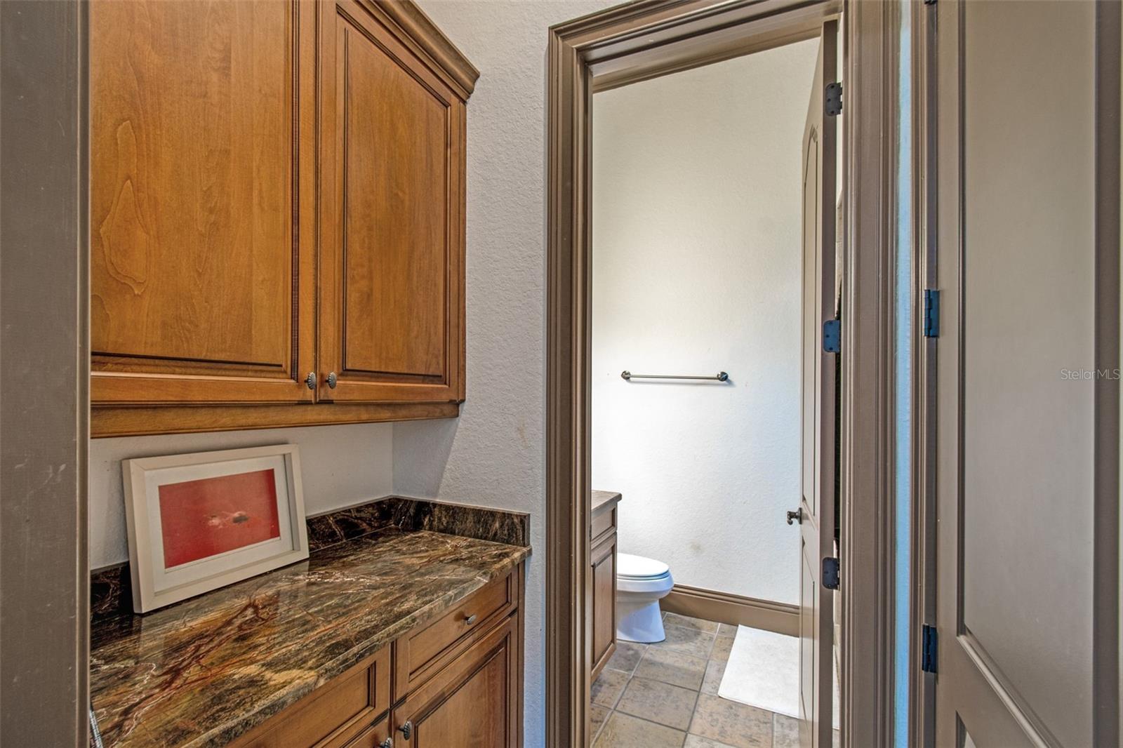 13250 Bellaria Cir Property Photo 29