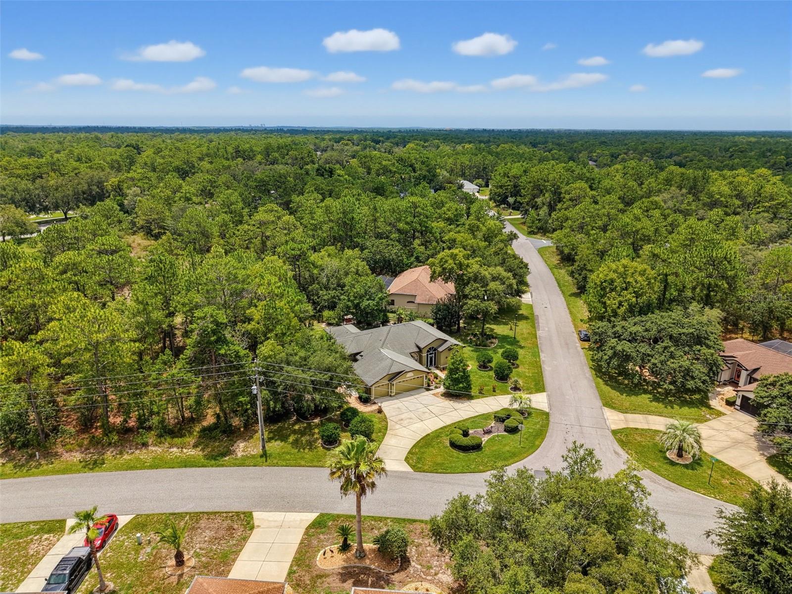 1 Plumbago Dr Property Photo 49