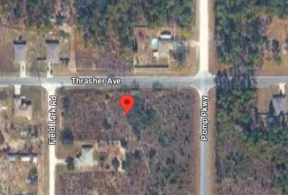 13101 Thrasher Ave Property Photo 4